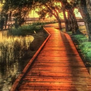 Meet your Posher, Loretta